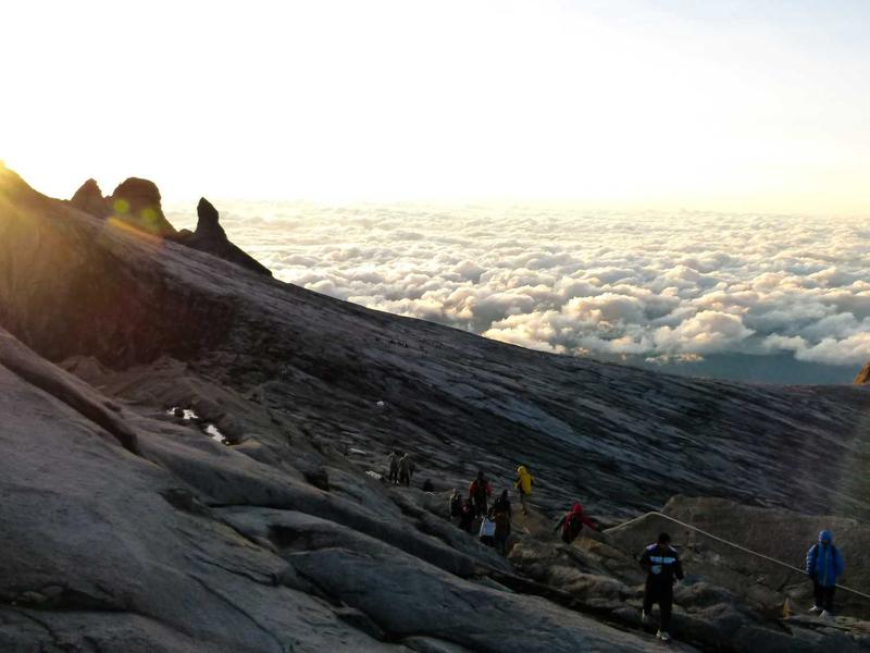 Viber下载 - 官方客户端获取,手机电脑同步聊天