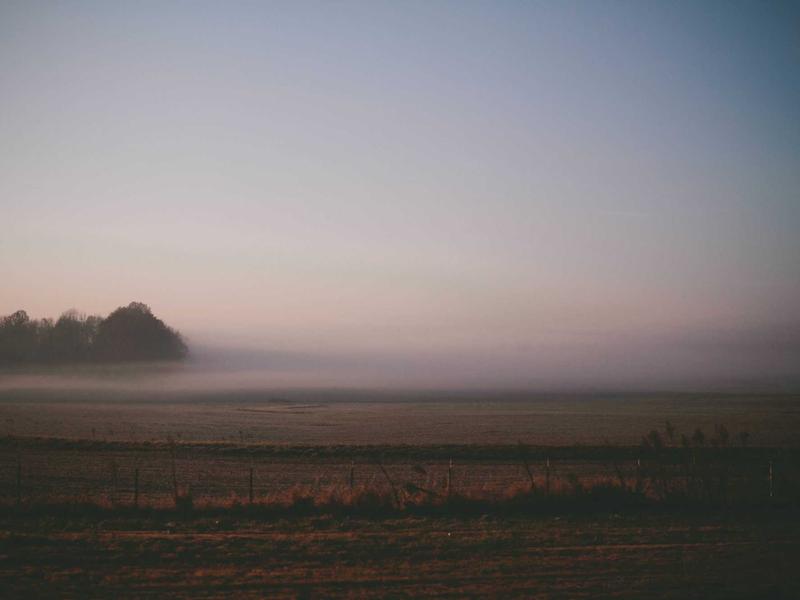 viber code 验证码